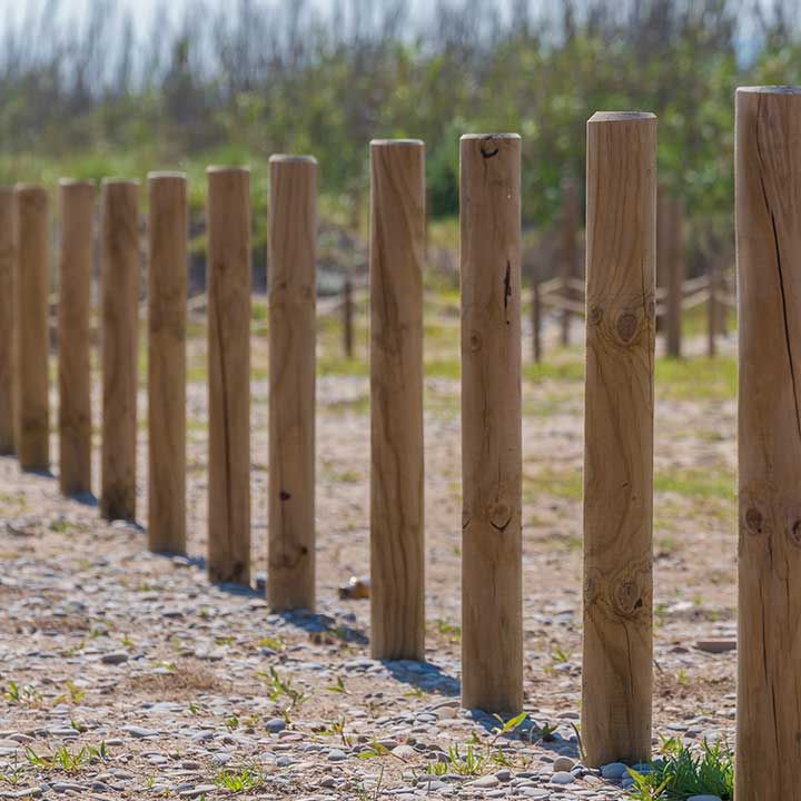 Pfähle und Pfosten